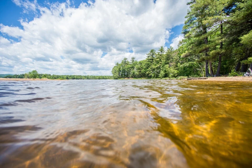 Forests and shoreline adorn the coasts of Sebago Lake State Park in Sebago, Maine.